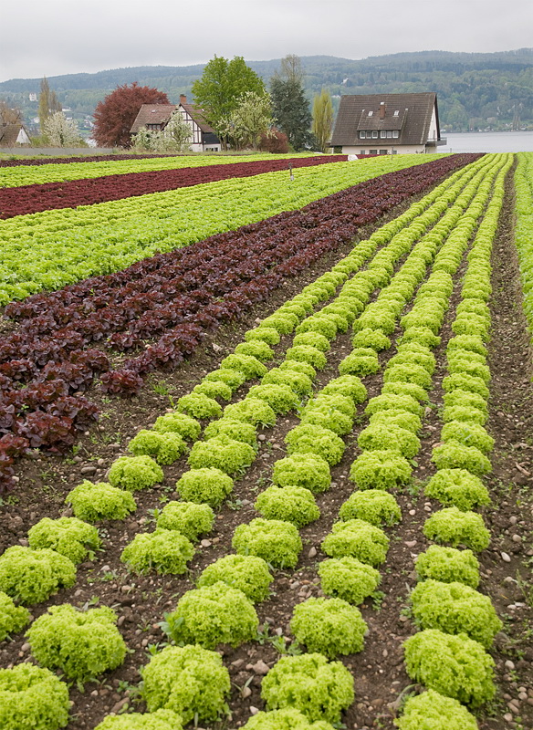 LandSüdtirol D35_4241 als Smart-Objekt-1 Kopie.jpg